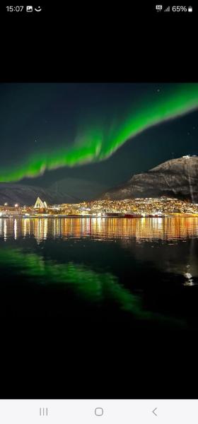 Kaldfjord aurora